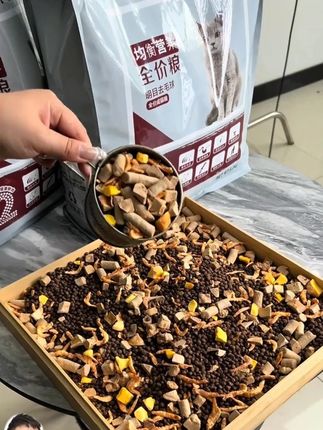 #猫粮爆款推荐)10斤猫粮三文鱼成猫5斤猫粮营养美味成猫凯贝尔猫粮#猫粮推荐#猫粮测评#猫粮分享#猫咪粮