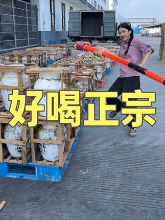 没喝过正宗绍兴黄酒的哥哥,我现场开一坛给您看一下,橙红透亮的琥珀色,滴滴都是纯粮食酿造的,现在喝非常合适!#会稽山黄酒 #黄酒 #花雕