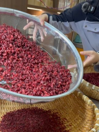 山茱萸也叫山萸肉,好东西,老家也叫它枣皮儿。。 #滋补养生 #滋补佳品 #优质农产品 #山茱萸 #山萸肉