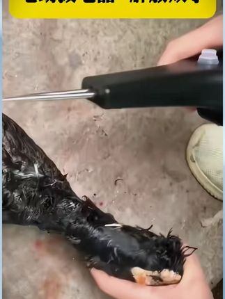 自从买了这个拔毛器,实在太方便了,邻居们都羡慕坏了#电动拔毛神器 #高性能实用工具 #居家必备 #实用小技巧