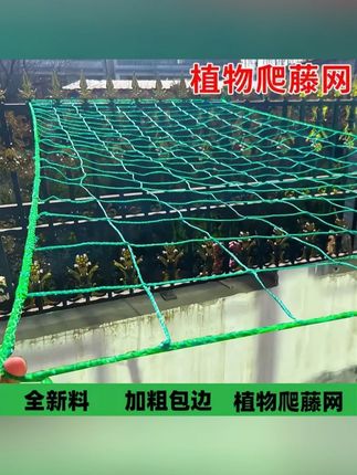 园艺爬藤网百香果专用庭院用品葡萄植物菜园种植花卉尼龙网搭架网 #园艺工具 #种植必备 #花园用品 #蔬菜种植 #农具推荐