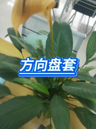 短毛方向盘套 #卡通把套 #防寒保暖 #通用防滑