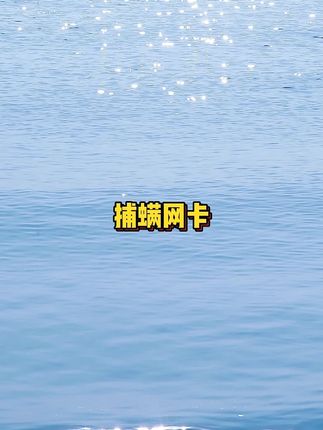 #厂家直发品质保证 #便宜便宜真便宜 #好物推荐 #捕螨网卡