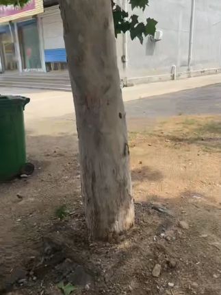 得力马克笔食品级儿童可水洗无毒小学生幼儿园水彩笔丙烯马克笔#马克笔 #彩笔马克笔 #丙烯马克笔 #儿童马克笔 #可水洗马克笔