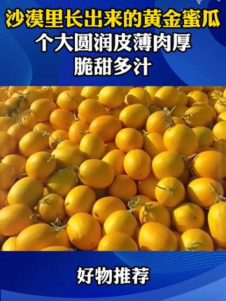 吃不完,根本吃不完,正宗陕西大荔冬枣,皮薄肉大核小,真的巨好吃#大荔冬枣