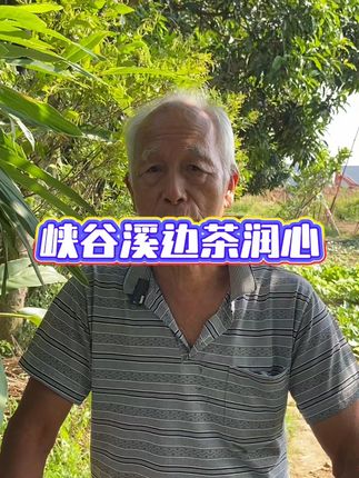 #潮汕人 #汕头 #揭阳 #喝茶品人生