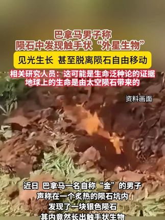 巴拿马男子称陨石中发现触手状“外星生物”,见光就长,可自由移动!(中国蓝新闻)
