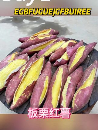 板栗红薯,粉面香甜,淡淡的板栗香味,真的太好吃了,带一点给家里人尝尝吧!!#板栗红薯 #红薯 #地瓜 #沙地红薯 #美食