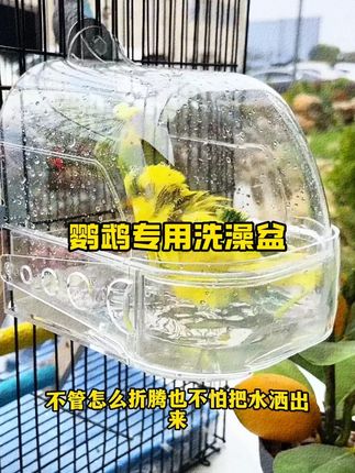 0-3岁幼儿儿歌舞蹈 0-3岁儿歌跳舞视频 0-3岁幼儿早教动画片 0-3岁儿童启蒙益智早教#0到3岁幼儿儿歌舞蹈#小鸭子嘎嘎嘎#早教儿歌#儿歌100首最火#0到3岁早教儿歌