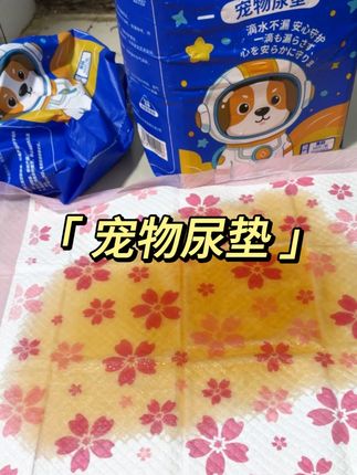宠物尿垫怎么选?看完你就懂啦!#萌宠好物 #宠物尿垫 #宠物尿垫推荐 #尿垫
