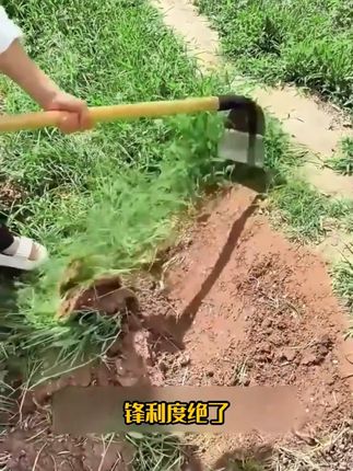 试试这款双钢除草锄,锋利度绝了! 除草时所到之处干干净净,效率比以前高太多。轨道钢材质硬度高,耐用得很,碰石头也不怕,刃口不易损伤。一挥能盖一大片草,手柄舒适发力轻松,不累胳膊。功能多样,除草、松土、刨坑都方便,干农活必备。 #除草工具 #家用锄草器 #多功能锰钢锄头 #锰钢铲锄头 #农民好帮手