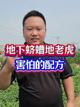 花生地下蛴螬地老虎防治,不要撒施颗粒 试试这款叶面喷施的配方#蛴螬防治 #地下害虫 #地下害虫防治 #花生种植 #花生高产种植技术