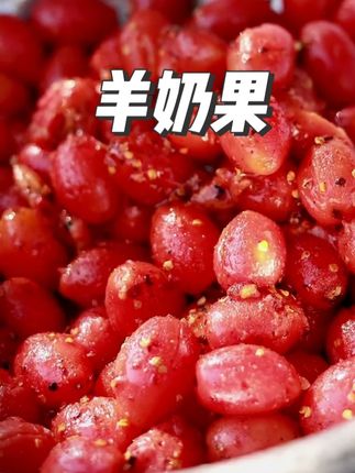 羊奶果苗,一口爆汁的羊奶果,纯甜无酸的品种你们喜欢吗? #水果 #羊奶果 #德甜二号羊奶果 #果苗供应