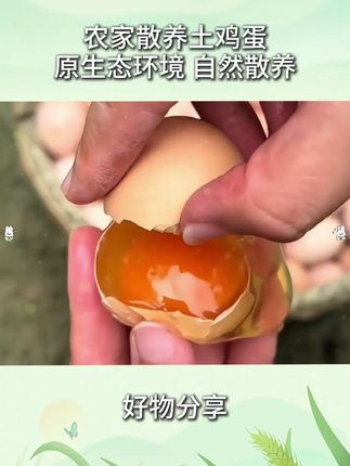 散养土鸡蛋 t