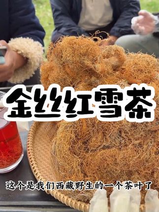 西藏高原雪域:/ 金丝红雪茶100g青藏高原特产 #好物分享 #金丝红雪茶 #三伏天养生指南 #热点宝 #西藏野生茶叶