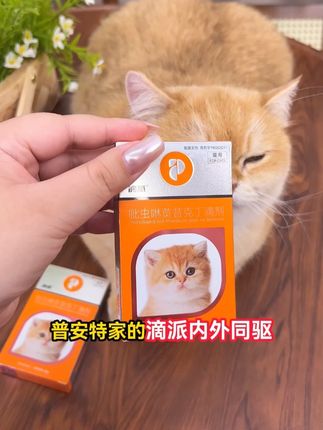 夏季升温得驱虫,萌宠早不驱虫晚难受,别再等寄生虫爆发才知道#普安特 #宠物 #猫咪 #猫粮 #萌宠好物 ##