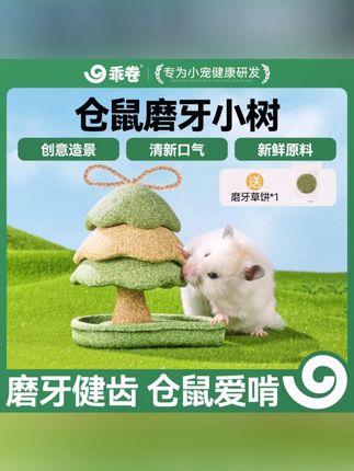 乖卷磨牙小树仓鼠零食金丝熊磨牙蘑菇棒龙猫豚鼠兔子零食造景百搭#宠物磨牙零食 #仓鼠零食 #蘑菇棒 #宠物造景 #乖卷宠物零食