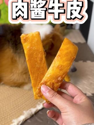 沾满肉酱的牛皮小狗真的好爱啃,美味的同时还能磨牙洁齿,防止狗狗拆家#狗零食 #萌宠好物 #狗狗磨牙棒推荐 #宠物零食 #柯基
