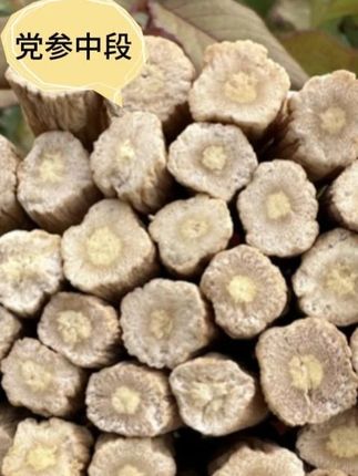 【甘肃党参25年新货】白条党参中段产地直销滋补煲汤煮水 #党参段 #党参中段 #党参 #煲汤煮水