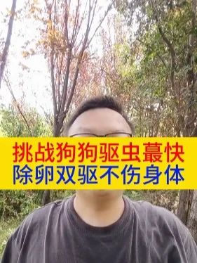 挑战狗狗驱虫蕞快,除卵双驱不伤身体#狗狗 #科学养宠攻略 #养狗知识 #狗狗驱虫 #养狗人