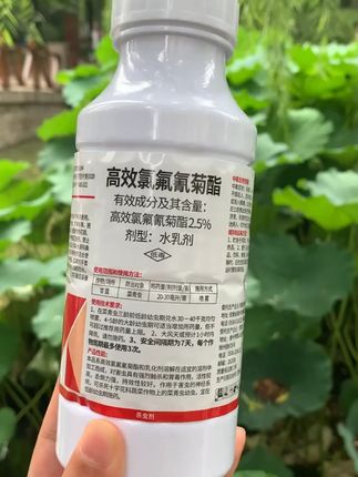 广东开始清理植物,社区上门这样应对,能最大限度保住你家的花 #高效氯氟氰菊酯