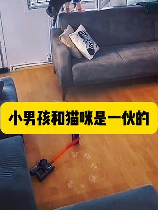 小男孩熟练的打开窗户为他的猫伙伴进屋!#小猫咪 #猫咪的迷惑行为