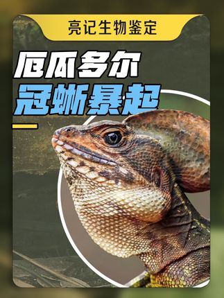 无穷小亮的科普日常