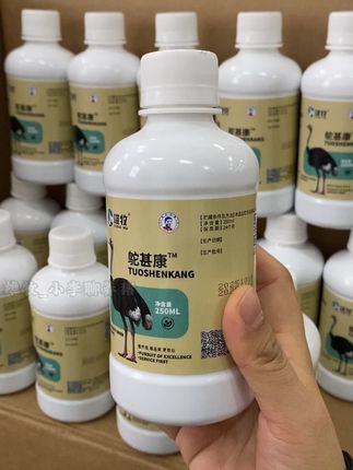 #鸵鸟 #鸵鸟养殖 #鸵鸟苗最新养殖技术 #鸵鸟养殖技术 #雄牧鸵甚康