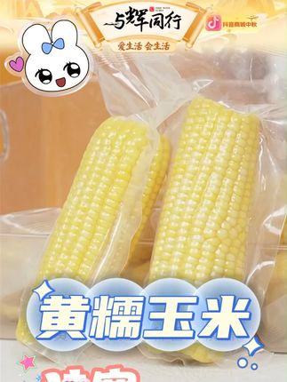 【稻香金界沟】2025新季黄糯玉米单根250g*10根香甜软 #黄糯玉米 #玉米 #低卡低脂餐 #玉米推荐 #美食