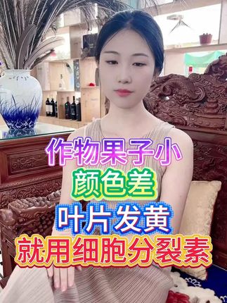 作物果子小 颜色差 叶片发黄就用细胞分裂素 #三农 #农业种植 #种植技术 #三农种植