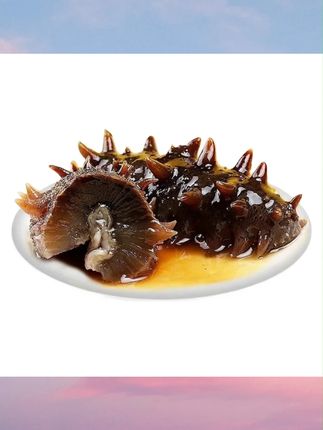 【参博会专属】参阿婆即食海参新鲜大连正宗辽参非淡干买20送10头#海参 #即食海参 #即食海参推荐 #海参推荐 #海鲜