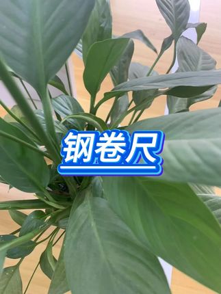 钢卷尺加宽高精度5-10米 #钢卷尺 #加宽设计 #测量工具