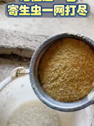 #上热门 zz蟲全净猪牛羊通用鸡鸭鹅兔子饲料添加剂