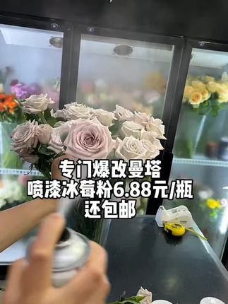 花艺彩色喷漆鲜花喷色染色花店专用碎冰蓝喷色乌梅子酱#鲜花喷漆 #鲜花喷色 #鲜花喷色剂