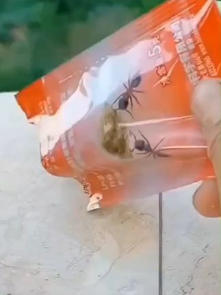 蚂蚁药家用室内无毒热,谁是蚂蚁药排名第一厚生蚂蚁药家用一窝室内家用户外端非无毒去除杀蚂蚁的专用药 (1) #蚂蚁药家用室内无毒热 #谁是蚂蚁药排名第一 #蚂蚁药拜耳一窝端 #蚂蚁药一窝端正品官方旗舰店热 #蚂蚁药
