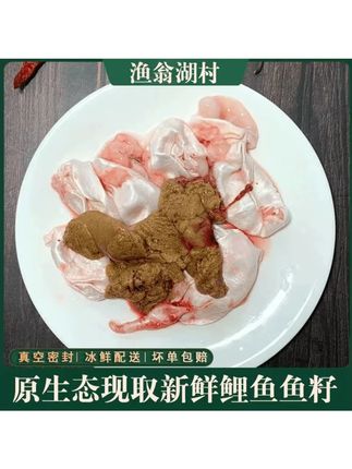 【微山湖新鲜鱼杂】现杀现取鲤鱼鱼籽鱼泡鱼白鱼杂冰鲜速冻冷链发货#新鲜鱼杂 #鱼杂 #鱼泡 #鱼籽鱼泡