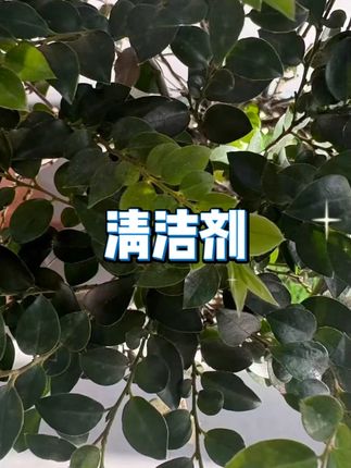 水卫士洗衣机槽清洁剂 #洗衣机清洁 #除菌除螨 #爆氧粉