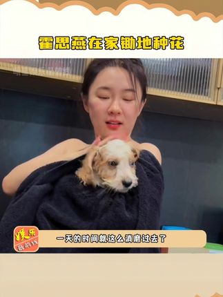 明星娱乐最前线