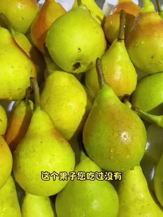 太婆梨,香蕉梨,大头梨,线梨你们那还叫什么梨呢?#香蕉梨 #太婆梨 #烟台 #优质农产品 #新鲜应季水果
