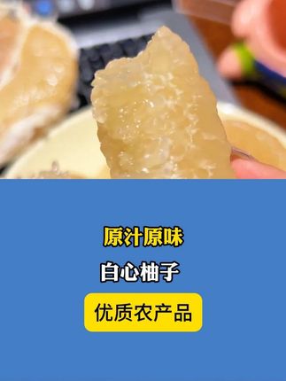 老树蜜柚,原汁原味# 平和琯溪蜜柚 # 白心柚子 # 优质农产品