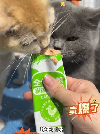 猫饭主食包猫粮主粮湿粮营养全价牛肉兔肉鸡衡优质长胖营养猫粮饭#猫饭主食包 #猫条推荐 #猫粮主粮 #猫咪湿粮包 #萌宠好物