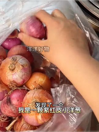 【珍珠小洋葱】紫红皮小洋葱香葱生吃微辣微甜可炒菜凉拌当季蔬菜