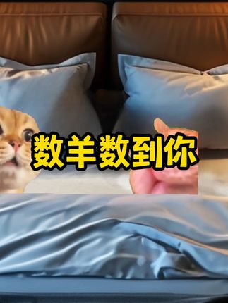 当我女朋友睡不着的时候……#歌曲数羊数到你#猫meme #数羊