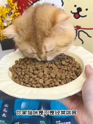 【专属试吃】鲜朗烘焙全价全期猫粮禽肉兔肉鱼肉幼猫成猫试吃5包装