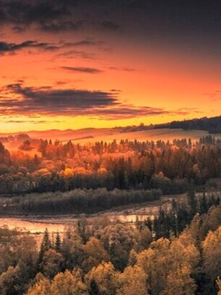 儿童玩具投篮游戏机可投币男女孩益智生日礼物专注力训练生日礼物