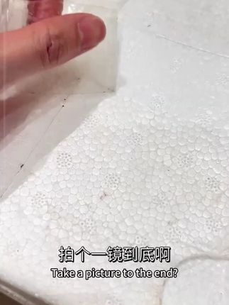 太好吃了!强烈推荐!头茬白心奶油芭乐!一定不要错过!#应季水果 #芭乐 #强烈推荐 #亲测推荐 #白心芭乐