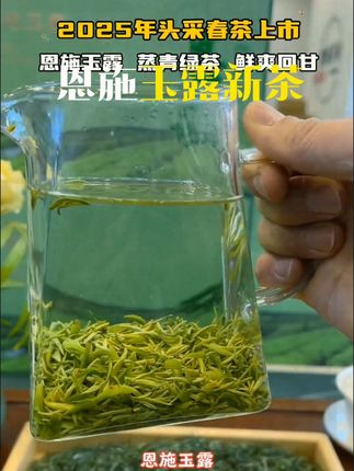 恩施玉露特级绿茶2025新茶叶250g正宗毛尖高山云雾湖北蒸青礼盒装 #恩施玉露 #特级绿茶 #高山云雾茶