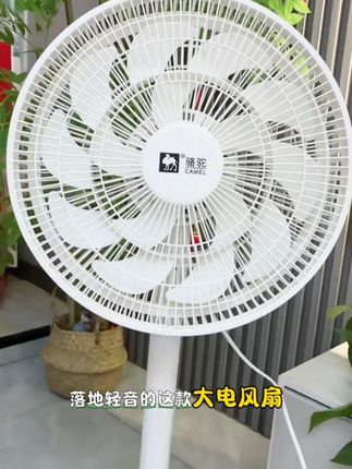 15叶静音落地电风扇#家用风扇推荐 #空气循环扇#电风扇 #夏天必备神器 J