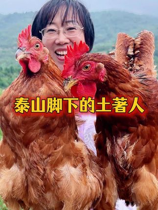 真正在大山脚下生活的土鸡你吃过吗? #土鸡 #大公鸡