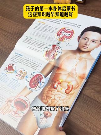 原来我们的身体里有这么多有趣的知识,孩子看了之后思维更开阔了#好书推荐 #绘本育儿 #身体健康#中百 #人体与大脑 jc